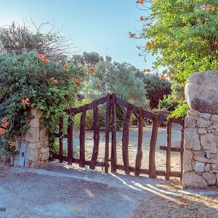 Marylou By Domusaway