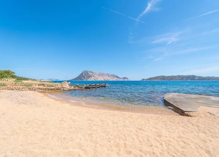 Marylou By Domusaway *